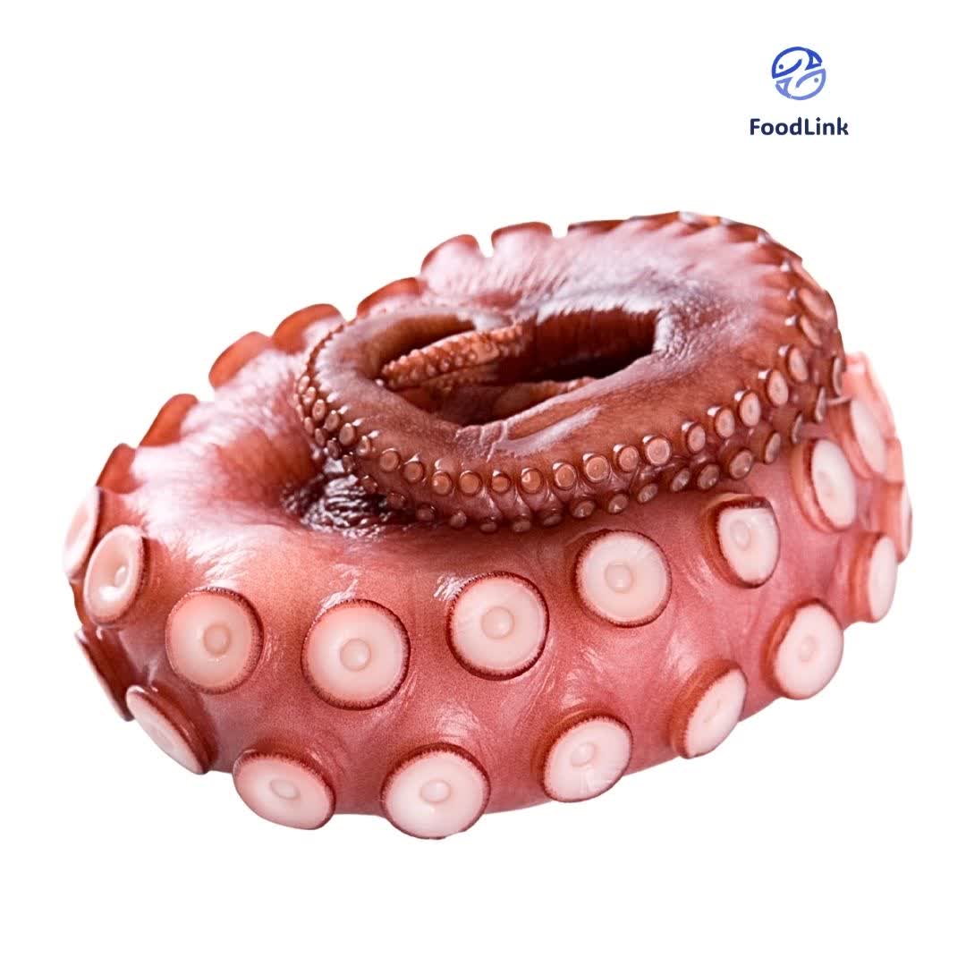 Râu Bạch Tuộc Nhật