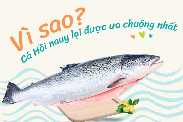 Cá Hồi Nauy