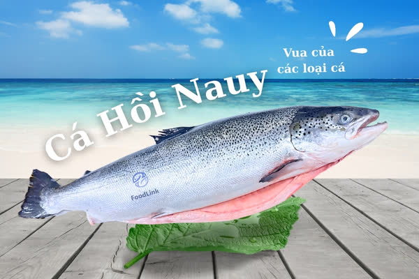 Cá hồi Na Uy tươi ngon với thịt cam hồng tự nhiên và vân mỡ trắng mịn